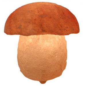 Zoutlamp Paddestoel